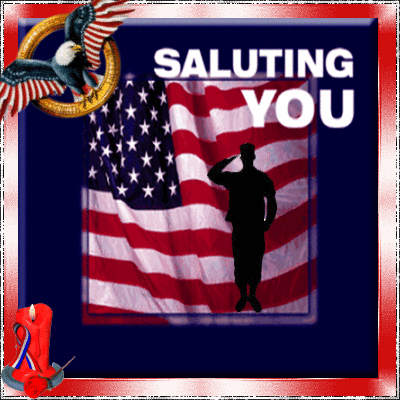 Saluting You on Veterans Day GIF Image