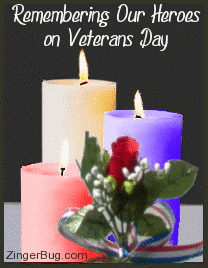 Veterans Day GIF Images Pic