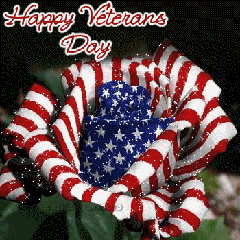 Happy Veterans Day GIF Image