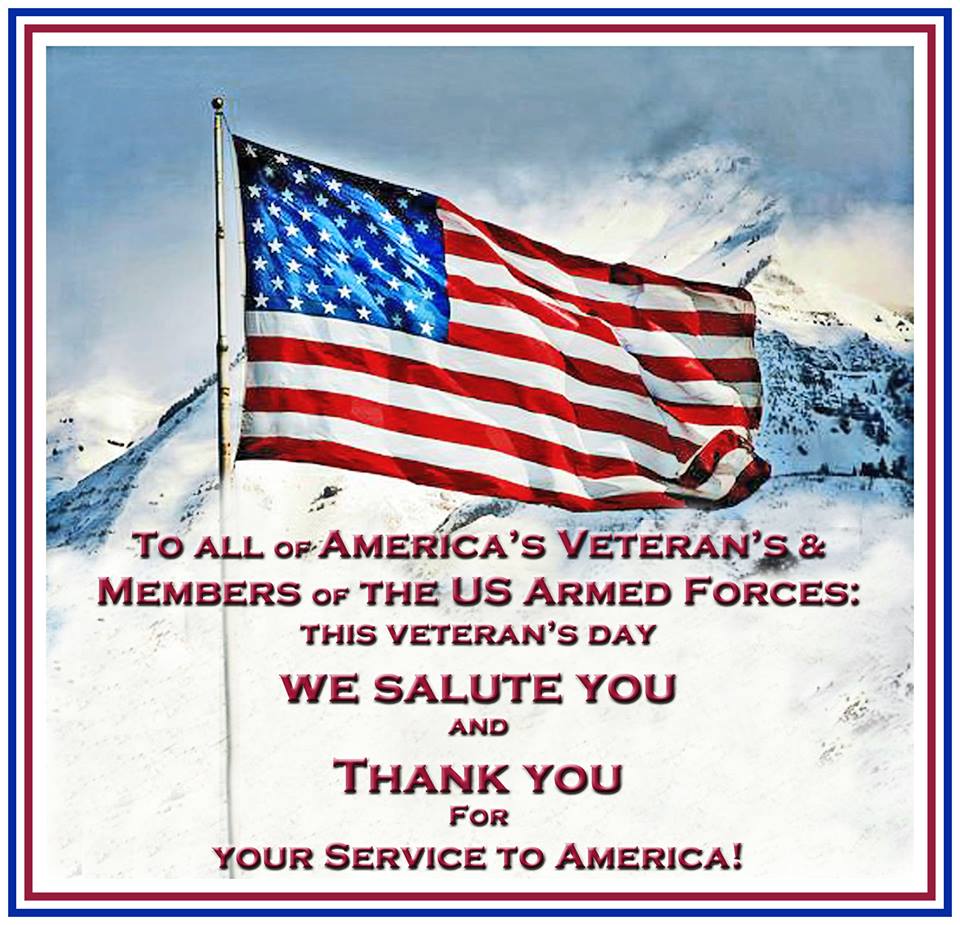 Veterans Day Thank You Quotes and Sayings Image